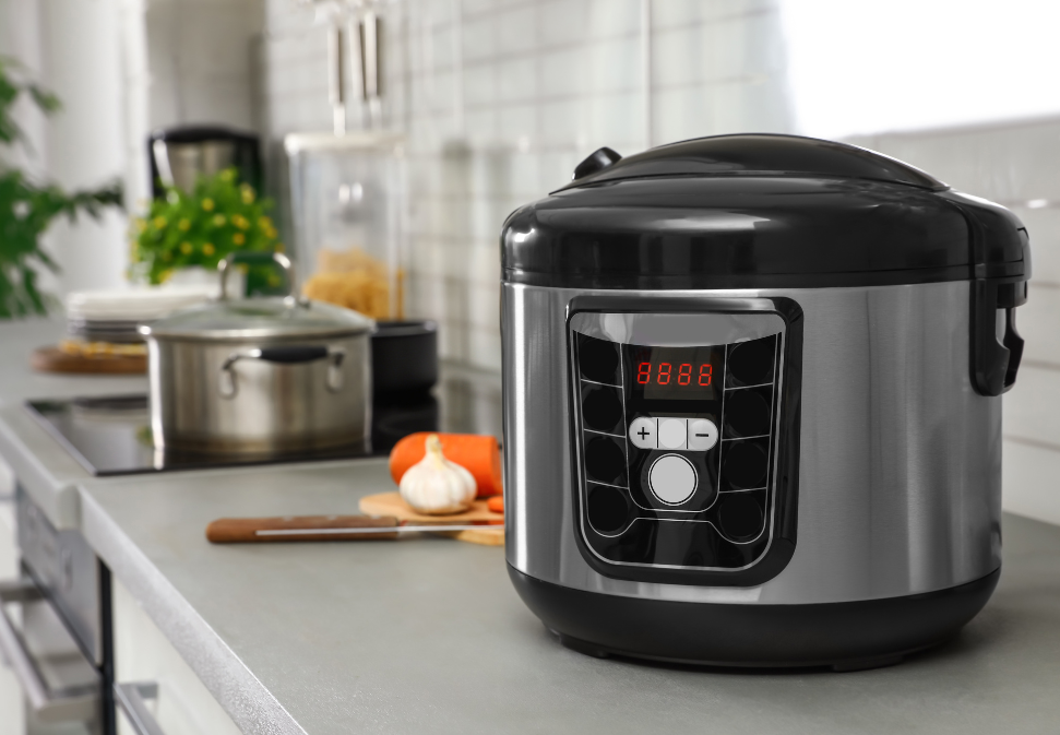 Fermenter or Rice cooker