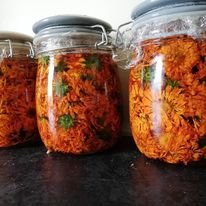 Calendula pedals in oil