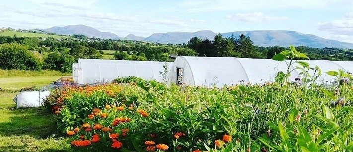 Poppa Dom's Farm
