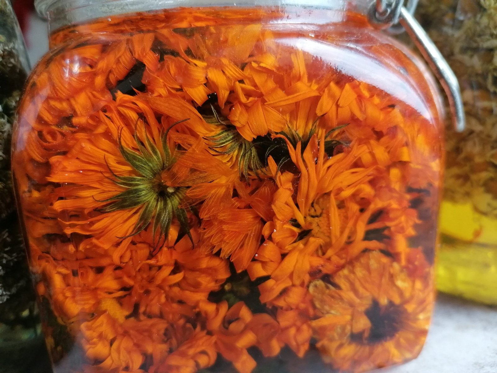 Calendula infused oil