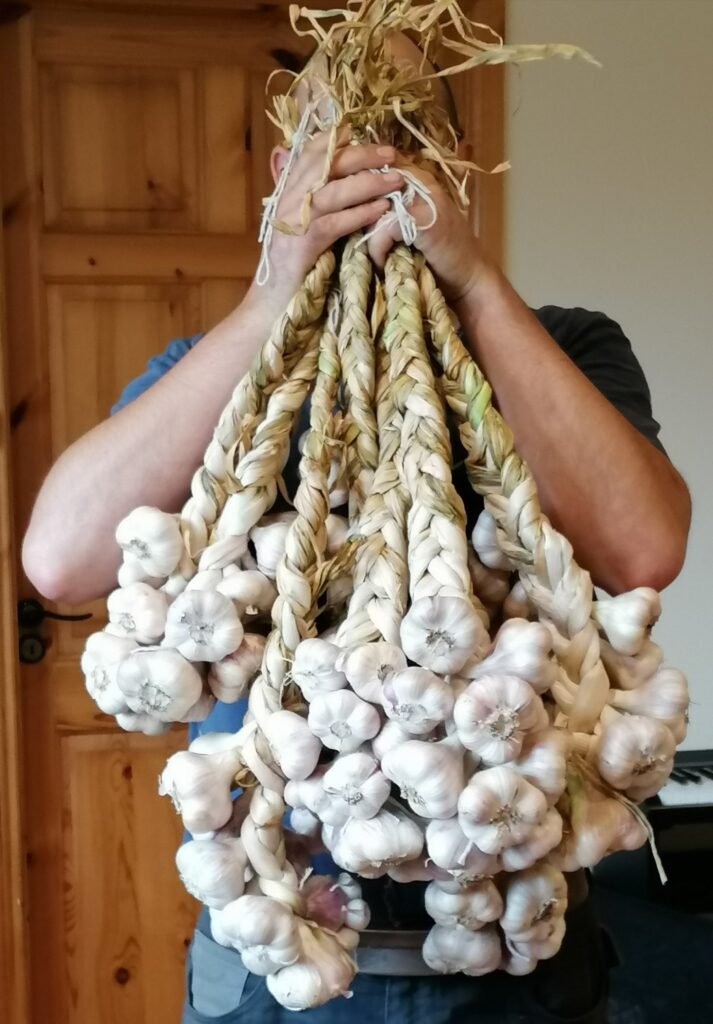 garlic braids