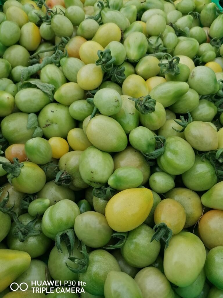 Green tomatoes