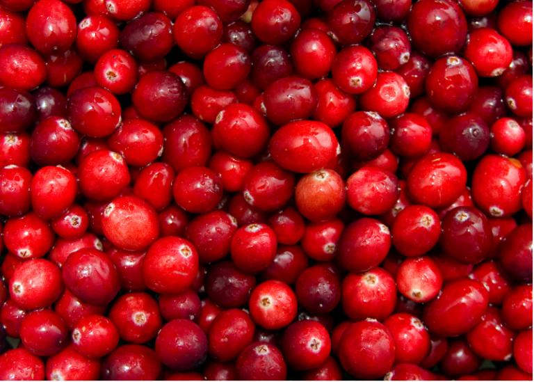 Cranberries: The superfood