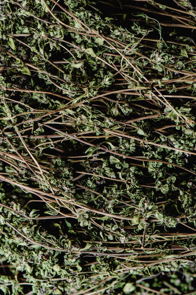 Detailed view of dried thyme herbs, perfect for culinary and ingredient-themed projects.