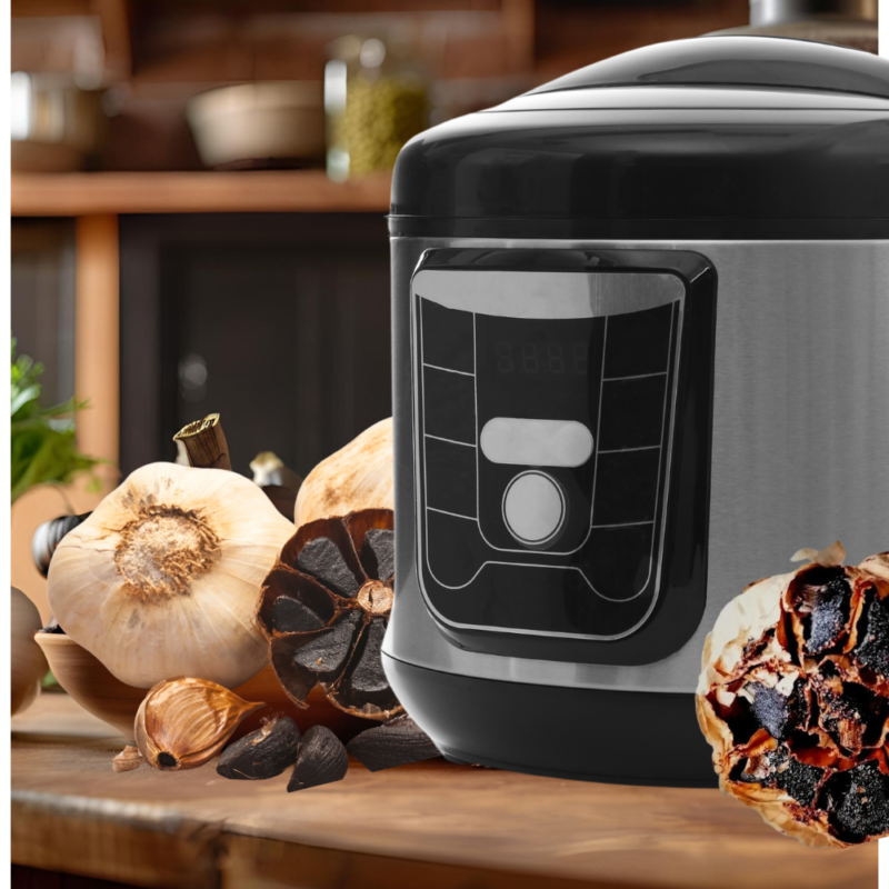 Black garlic fermenter and black garlic bulbs