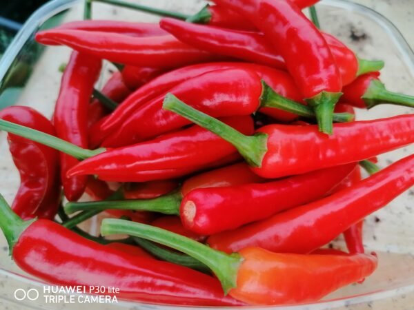 Cayenne chilli peppers
