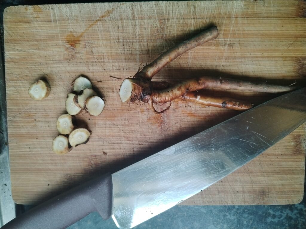 Chopped up dandelion root