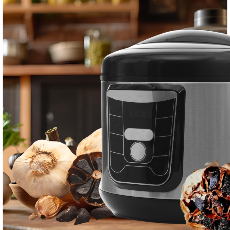 Black garlic fermenter and black garlic bulbs - best kitchen tools for cooking with black garlic
