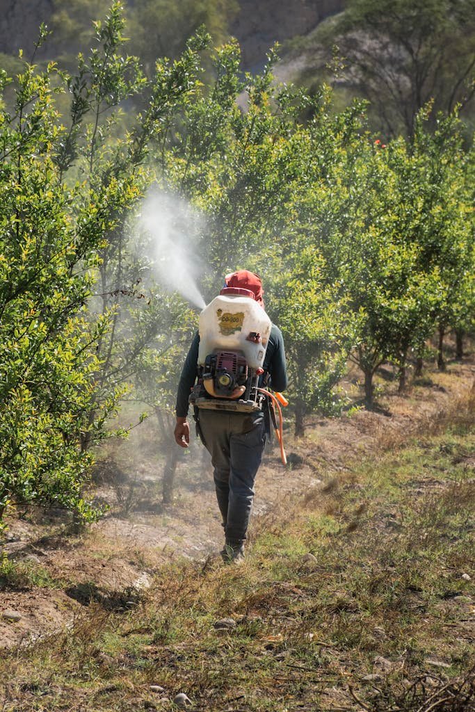 A farmer tending to an orchard in Palpa, Peru, using a backpack sprayer to treat trees.