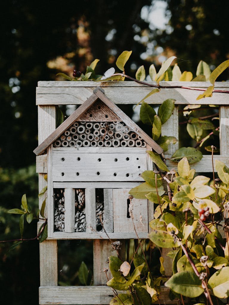 A rustic birdhouse surrounded by foliage, creating a serene autumn garden vibe.