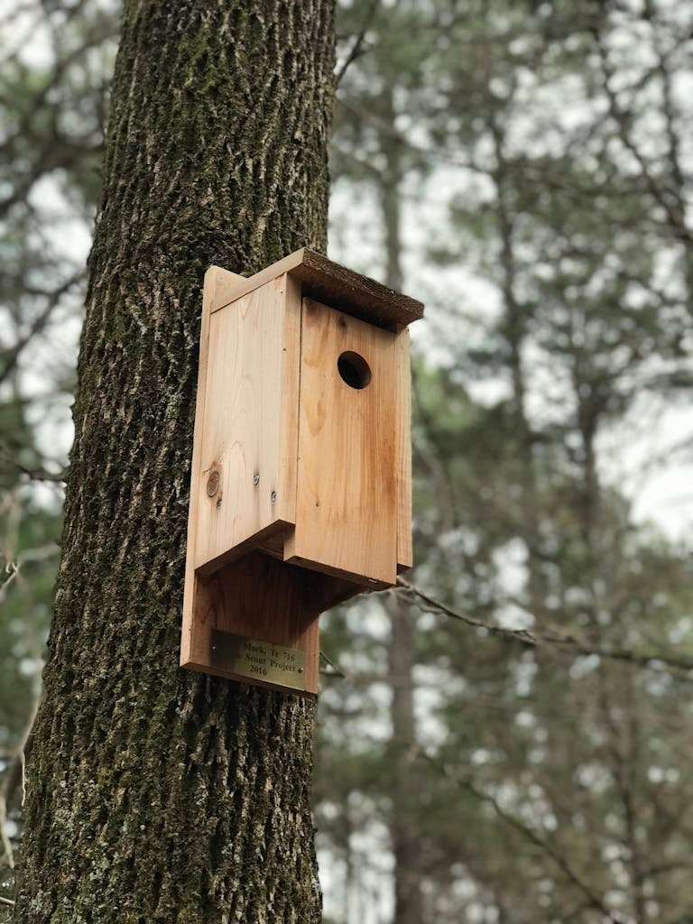 A rustic wooden birdhouse attached to a tree trunk in a serene forest setting.