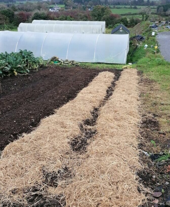 Mulched bed