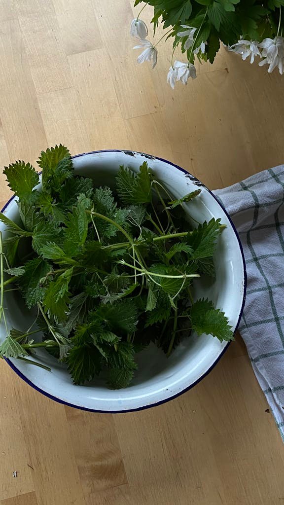 Top view of fresh nettle leaves in a bowl, perfect for healthy recipes.