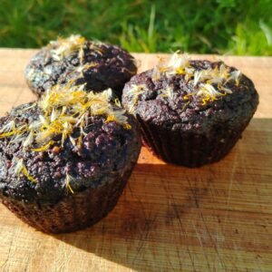 Sugar-free Chocolate Dandelion muffin recipe
