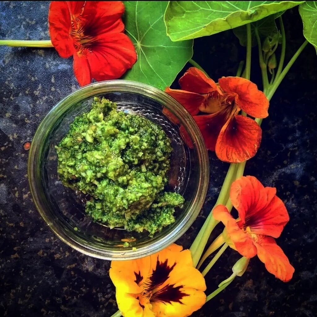 Nasturtium pesto