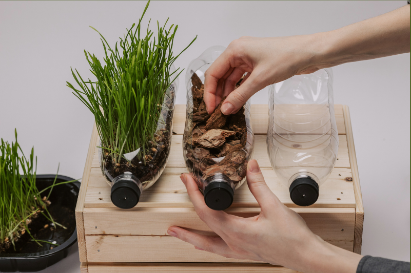 diy self-watering pots