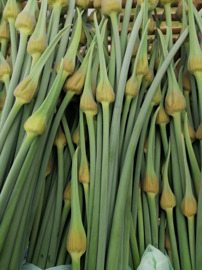 Garlic scapes