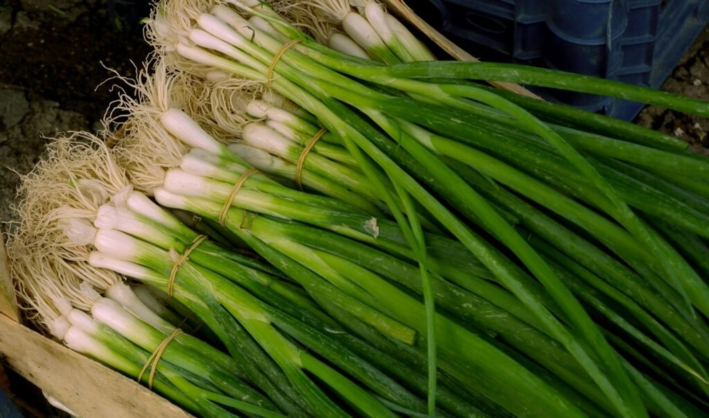 Bunches of green onions and cabbages in crates at a market. High-angle view.