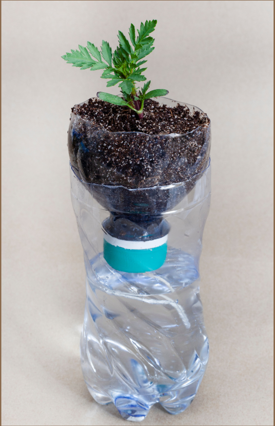 diy self watering planter