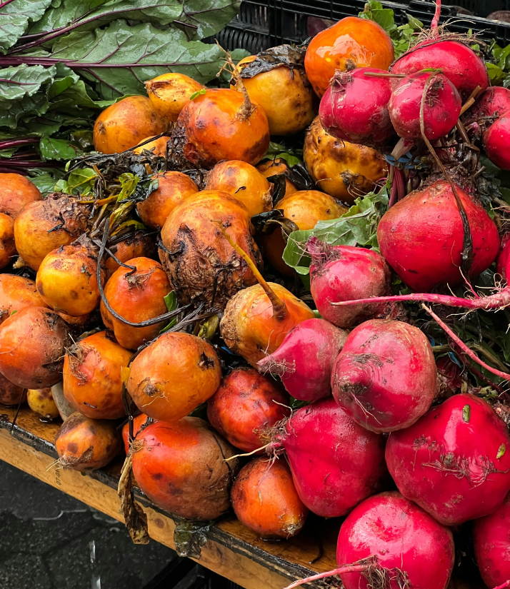 how to grow beetroot
