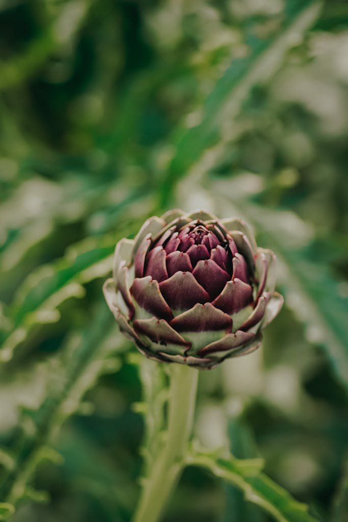 A detailed close-up of a vibrant artichoke plant surrounded by lush greenery.
