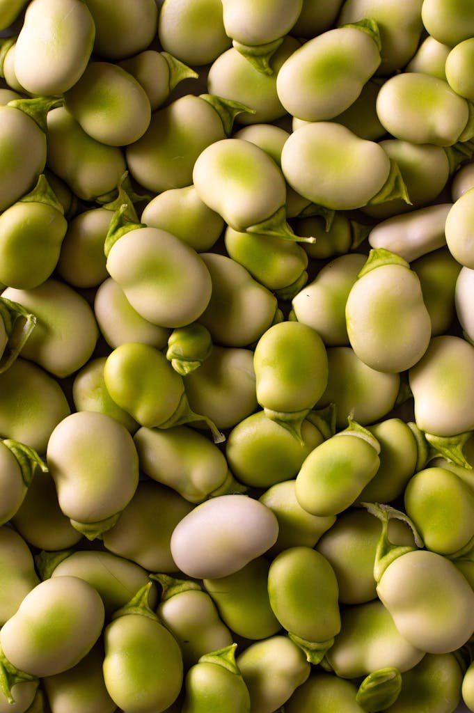A detailed close-up of fresh broad beans showing natural texture and color.