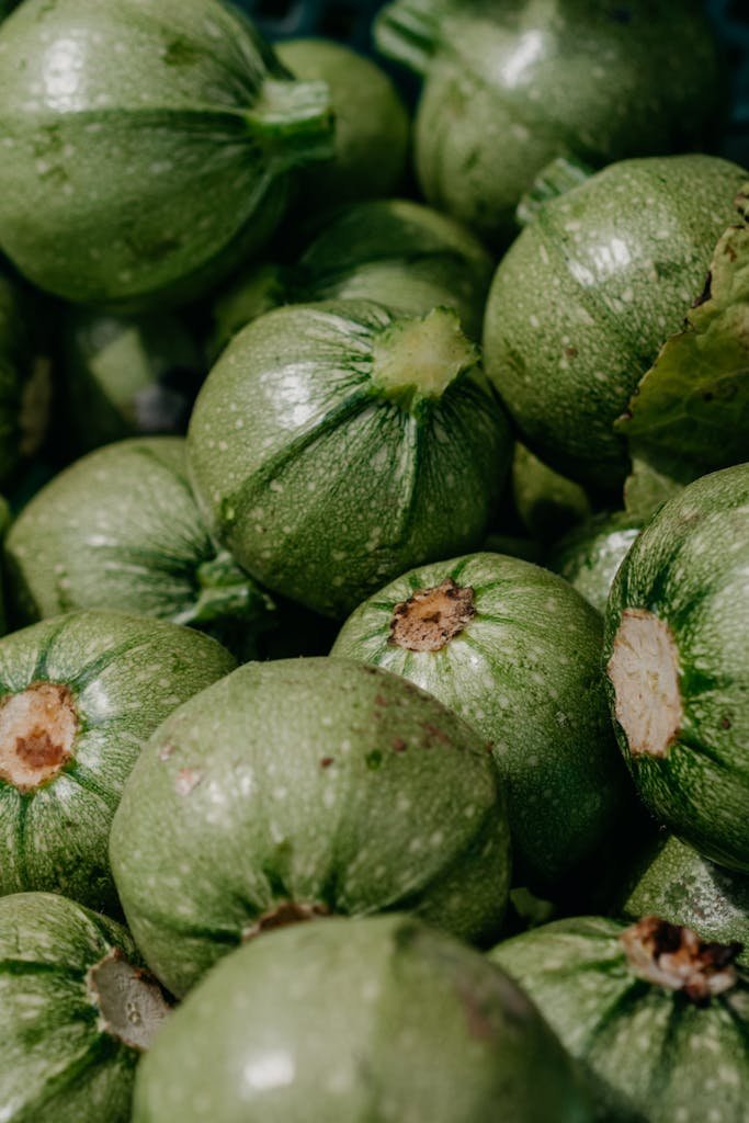 Close-up of green round zucchinis at a market, showcasing their fresh texture and vibrant color.