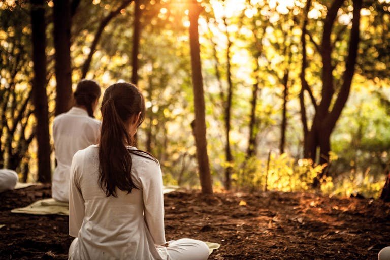 Women sitting in a forest during sunset, practicing meditation and relaxation.