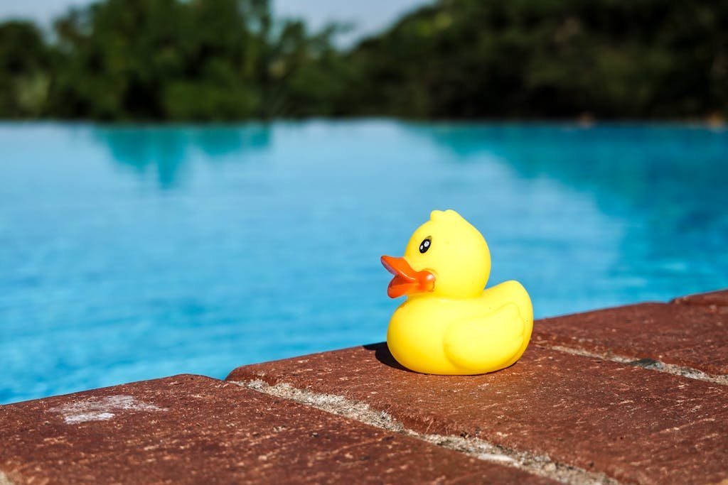 A yellow rubber duck placed on a brick surface near a blue swimming pool.