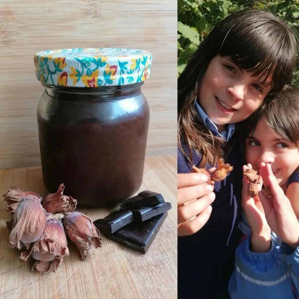 sugar-free Nutella recipe.